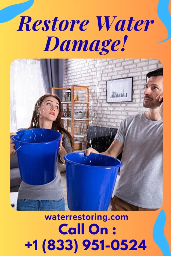 water restoration Diamond Disaster Cleanup Contractors Chest Springs