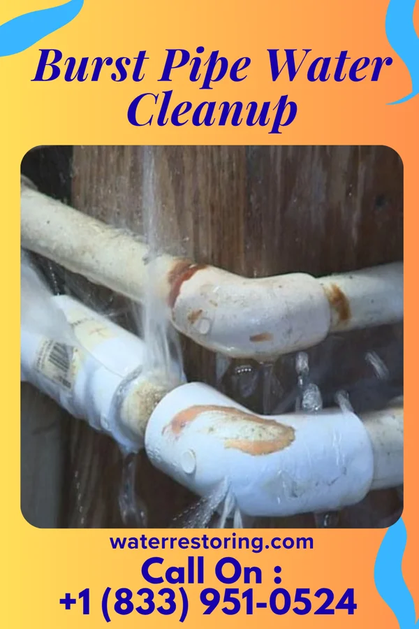 Burst Pipe Water Cleanup in Chest Springs, PA