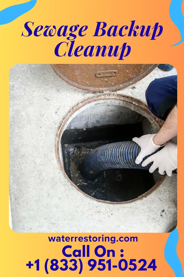 Sewage Backup Cleanup in Chest Springs, PA
